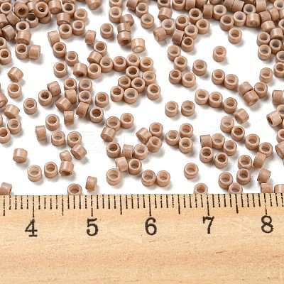 Baking Paint Glass Seed Beads X-SEED-S042-05A-25-1