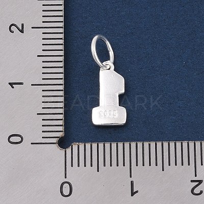 Number Series 925 Sterling Silver Charms LS-STER-Q002-01B-1
