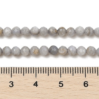 Natural Freshwater Shell Dyed Beads Strands SHEL-R100-12A-04-1