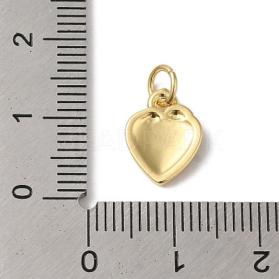Rack Plating Brass Enamel Charms X-KK-B092-25G-1