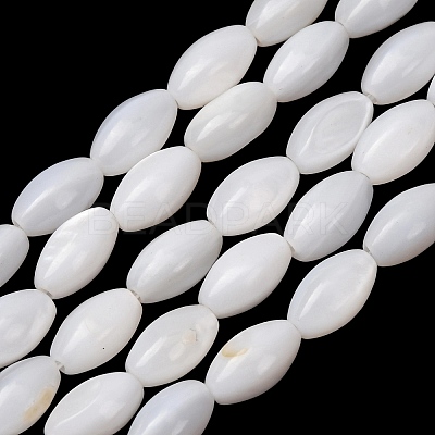 Natural Freshwater Shell Beads Strands SH-CBA2978-11-1