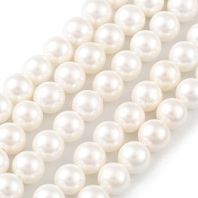 Shell Pearl Bead Strands X-BSHE-L026-03-6mm-1