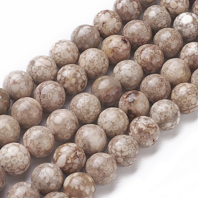Natural Fossil Coral Beads Strands G-F563-02-10mm-1