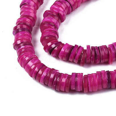 Natural Freshwater Shell Beads Strands BSHE-I016A-01E-1