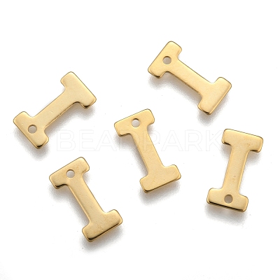 304 Stainless Steel Charms STAS-P141-I-1