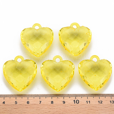 Transparent Acrylic Pendants TACR-T024-03B-916-1