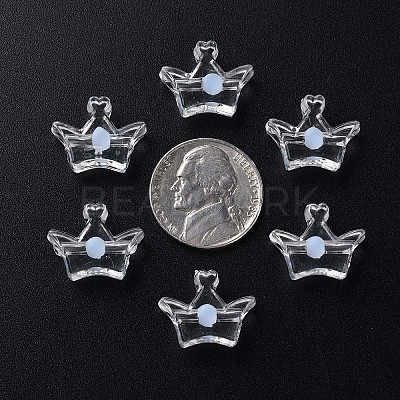 Transparent Acrylic Beads LS-MACR-S373-105-B08-1