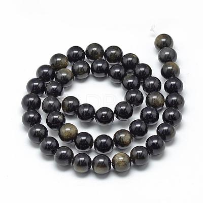 Natural Golden Sheen Obsidian Beads Strands G-R446-10mm-22-1