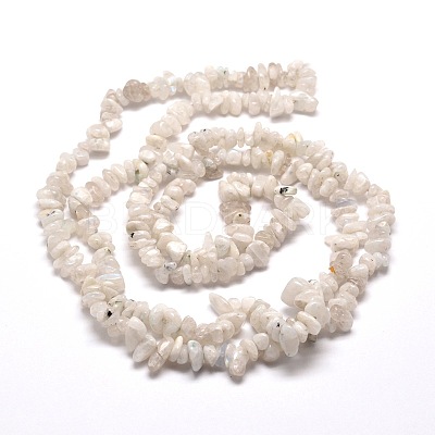 Natural Rainbow Moonstone Chip Bead Strands X-G-M205-62-1