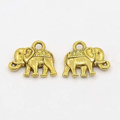 Tibetan Style Alloy Charms LS-PALLOY-P220-01AG-NR-1