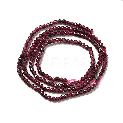 Natural Garnet Beads Strands G-I341-09A-1