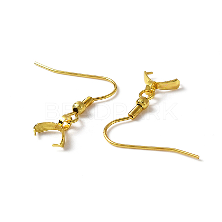 304 Stainless Steel Earring Hooks STAS-WH0035-14G-1