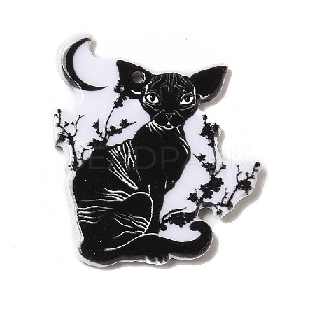 Double-sided Printed Acrylic Pendants SACR-F005-06C-1