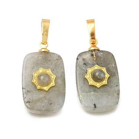 Natural Labradorite Pendants G-T151-02B-1
