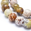 Natural Yellow Opal Beads Strands G-I213-18-10mm-4