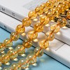 Natural Citrine Beads Strands G-E326-10mm-01-6