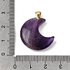 Natural Amethyst Pendants G-A297-02G-10-3
