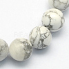 Natural Howlite Round Beads Strands X-G-S176-10mm-1