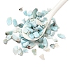 Natural Larimar Chip Beads G-Q193-01A-1
