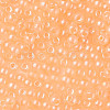 6/0 Imitation Jade Glass Seed Beads SEED-N004-006-24-4
