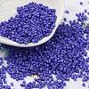 Baking Paint Glass Seed Beads SEED-S042-05B-74-1