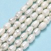 Natural Cultured Freshwater Pearl Beads Strands PEAR-J006-13A-2