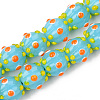 Handmade Lampwork Beads Strands LAMP-N021-007D-1