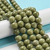 Natural Alashan Agate Beads Strands G-E598-03B-1
