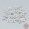 925 Sterling Silver Charms STER-T002-298S-1