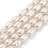 Natural Cultured Freshwater Pearl Beads Strands PEAR-P062-05C-2
