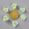Frosted Acrylic Bead Caps LS-MACR-S371-10A-728-4