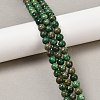 Natural Chrysocolla Beads Strands G-I318-09B-3