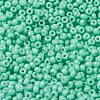 MIYUKI Round Rocailles Beads SEED-G008-RR4472-3