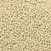TOHO 11/0 Round Beads X-SEED-TR11-0051F-2