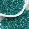 FGB 8/0 Grade A Round Glass Seed Beads SEED-Q006-3mm-F20-1