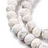 Natural Howlite Beads Strands G-K380-A10-01-4