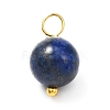 Natural Mixed Gemstone Charms PALLOY-JF00992-02-3
