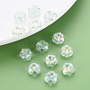 Transparent Acrylic Beads MACR-S373-06-C06-7
