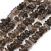 Natural Smoky Quartz Beads Strands G-P622-A01-02-2