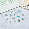 Natural Amazonite Chip Beads G-CJ0001-21-8