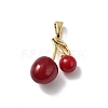 Brass Resin Pendants KK-D383-01G-03-1