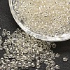 12/0 Transparent Glass Round Seed Beads SEED-J010-F12-21-1