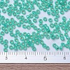 MIYUKI Round Rocailles Beads SEED-G007-RR0572-4
