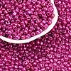 6/0 Glass Seed Beads E06900F4-2