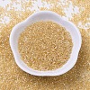 MIYUKI Delica Beads SEED-MY11-DB0100-2