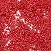 Baking Paint Glass Seed Beads X-SEED-S042-05B-91-3