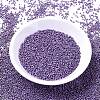 MIYUKI Delica Beads SEED-MY11-DB1185-2