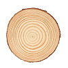 Flat Round Natural Pine Wooden Slices WOCR-PW0001-388C-1