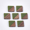 Resin & Walnut Wood Cabochons LS-RESI-S358-A-90C-1