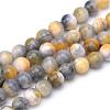 Natural Dyed Persian Jade Gemstone Bead Strands G-R271-8mm-XP26-2